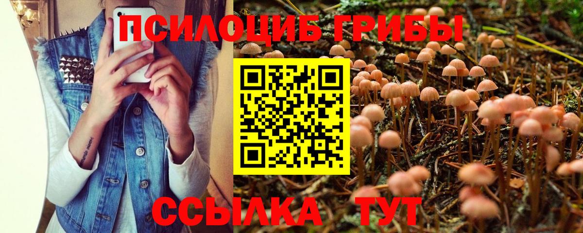 Галлюциногенные грибы ЛСД  Галлюциногенные грибы Cubensis  Вход с VPN  Родники 